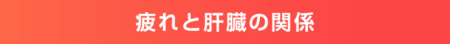 疲れと肝臓の関係